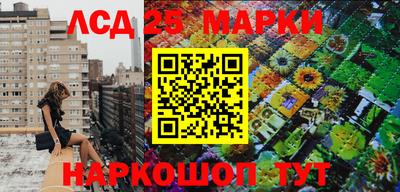 jwh Новокубанск