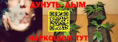 экстази Новозыбков