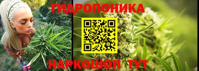 экстази Новозыбков
