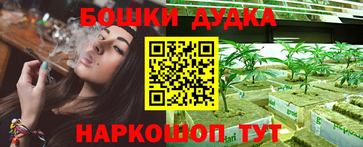 Канабис планчик Тайшет